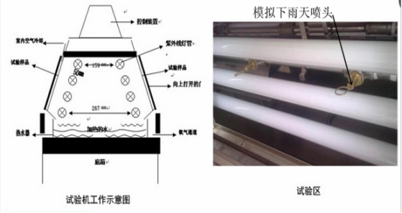 1747011146176525.png image.